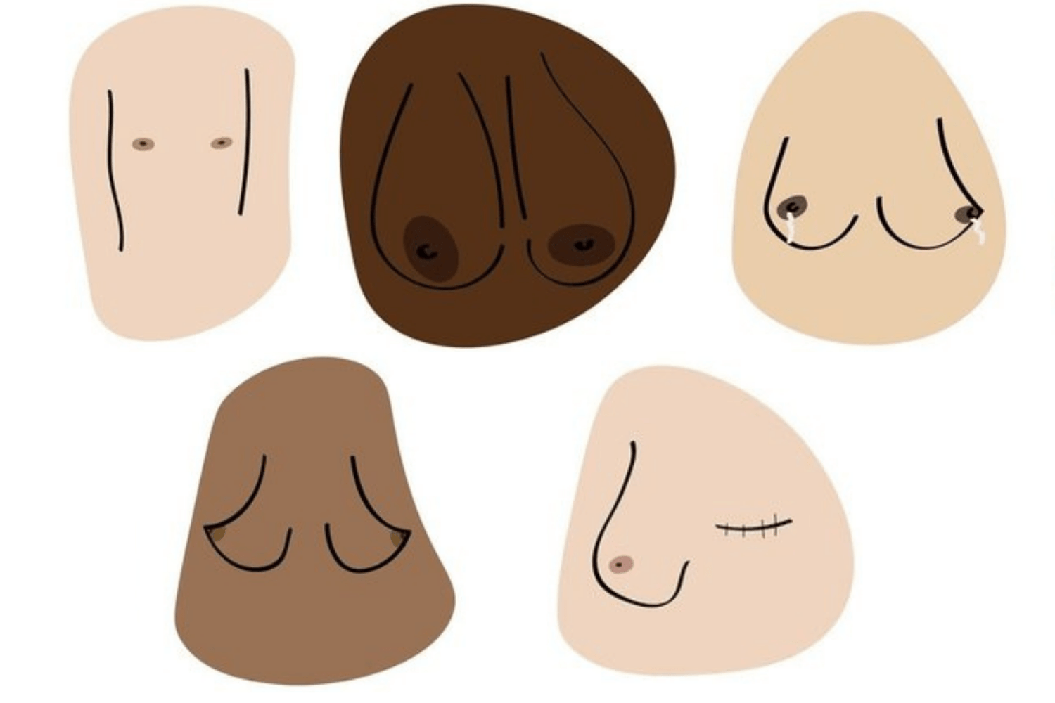 A bra for every boob