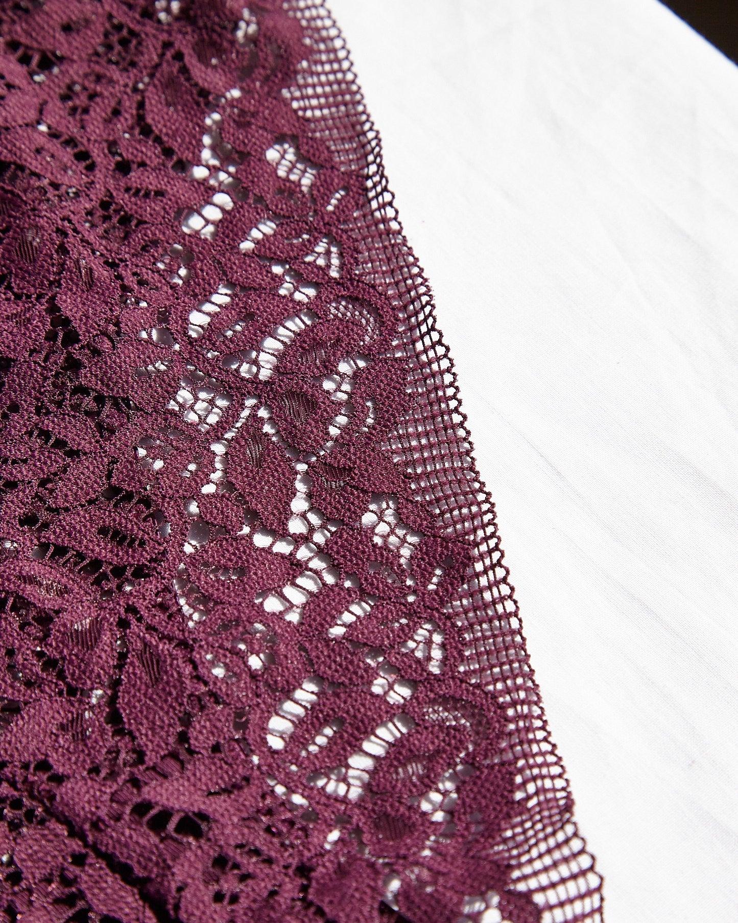 Fortune Deep Brief in Wine Briefs Core